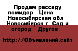 Продам рассаду помидор › Цена ­ 30 - Новосибирская обл., Новосибирск г. Сад и огород » Другое   